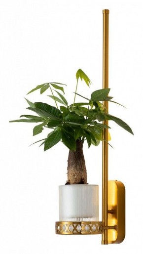 Бра Favourite Greenery 4050-1W в Нижнем Тагиле - nizhniy-tagil.mebel24.online | фото 3