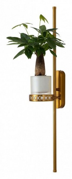 Бра Favourite Greenery 4050-2W в Нижнем Тагиле - nizhniy-tagil.mebel24.online | фото 11