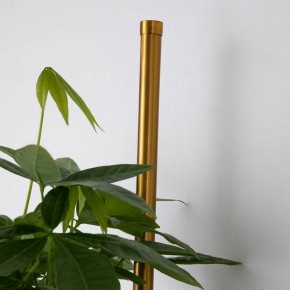 Бра Favourite Greenery 4050-2W в Нижнем Тагиле - nizhniy-tagil.mebel24.online | фото 8