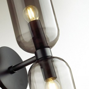Бра Odeon Light Orinoco 4804/2W в Нижнем Тагиле - nizhniy-tagil.mebel24.online | фото 4