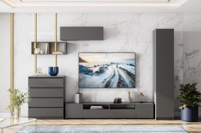 ДЕНВЕР Пенал (Графит серый) в Нижнем Тагиле - nizhniy-tagil.mebel24.online | фото 4