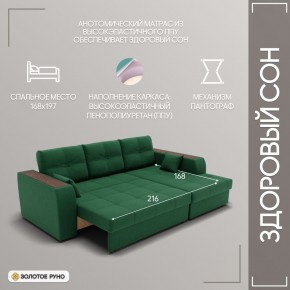 Диван Сенатор-3 (ППУ) в Нижнем Тагиле - nizhniy-tagil.mebel24.online | фото 5