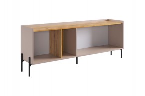 ДОМИНИКА Тумба 2 в Нижнем Тагиле - nizhniy-tagil.mebel24.online | фото 4