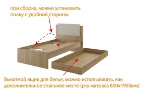 Дуглас подростковая (модульная) в Нижнем Тагиле - nizhniy-tagil.mebel24.online | фото 5