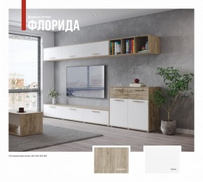 ФЛОРИДА Гостиная (модульная) дуб серый/белый в Нижнем Тагиле - nizhniy-tagil.mebel24.online | фото