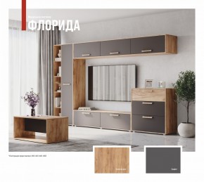 ФЛОРИДА Гостиная (модульная) дуб золотой/графит в Нижнем Тагиле - nizhniy-tagil.mebel24.online | фото