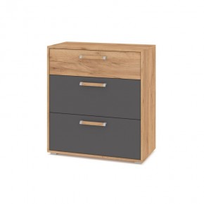 ФЛОРИДА Гостиная (модульная) дуб золотой/графит в Нижнем Тагиле - nizhniy-tagil.mebel24.online | фото 8