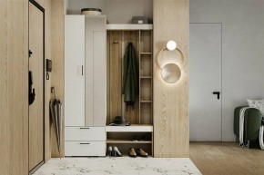 Гарнитур для прихожей Торонто в Нижнем Тагиле - nizhniy-tagil.mebel24.online | фото 5