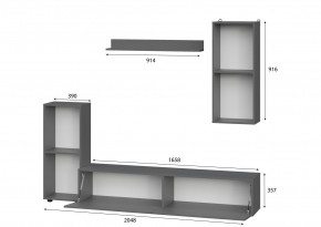 Гостиная МГС 10 (Графит) в Нижнем Тагиле - nizhniy-tagil.mebel24.online | фото 2