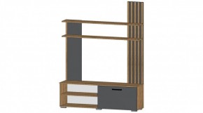 КАРОЛИНА Гостиная в Нижнем Тагиле - nizhniy-tagil.mebel24.online | фото 5