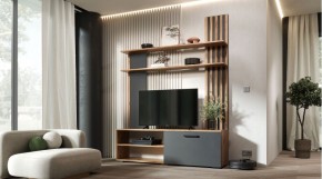 КАРОЛИНА Гостиная (дуб вотан/графит) в Нижнем Тагиле - nizhniy-tagil.mebel24.online | фото