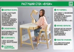 Комплект растущий стол и стул с чехлом 38 попугаев «Вуди» (Белый, Белый, Клетка) в Нижнем Тагиле - nizhniy-tagil.mebel24.online | фото