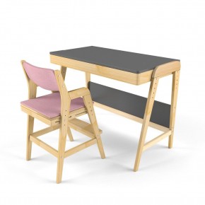 Комплект растущий стол и стул с чехлом 38 попугаев «Вуди» (Серый, Береза, Розовый) в Нижнем Тагиле - nizhniy-tagil.mebel24.online | фото