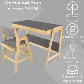 Комплект растущий стол и стул с чехлом 38 попугаев «Вуди» (Серый, Без покрытия, Серый) в Нижнем Тагиле - nizhniy-tagil.mebel24.online | фото