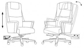 Кресло для руководителя Бюрократ _DUKE в Нижнем Тагиле - nizhniy-tagil.mebel24.online | фото 8