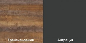 Кухонный гарнитур угловой Трансильвания 2600х1600 мм (Стол. 38 мм) в Нижнем Тагиле - nizhniy-tagil.mebel24.online | фото 3
