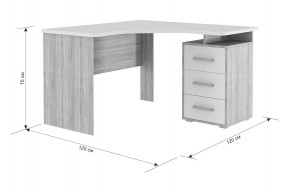 ЛАЙТ К4 Компьютерный стол в Нижнем Тагиле - nizhniy-tagil.mebel24.online | фото 6