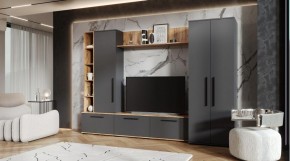 ЛЕВАНТЕ Гостиная в Нижнем Тагиле - nizhniy-tagil.mebel24.online | фото 1
