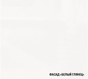 ЛОТОС Кухонный гарнитур Экстра 5 (3000 мм) в Нижнем Тагиле - nizhniy-tagil.mebel24.online | фото 5