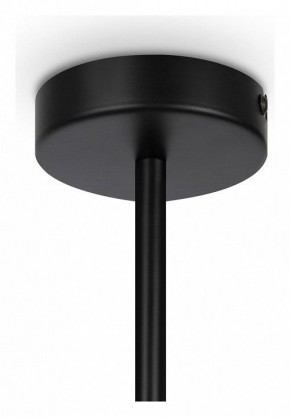 Люстра на штанге Maytoni Memory MOD177PL-04B в Нижнем Тагиле - nizhniy-tagil.mebel24.online | фото 4
