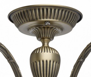 Люстра на штанге MW-Light Аманда 6 481011805 в Нижнем Тагиле - nizhniy-tagil.mebel24.online | фото 10