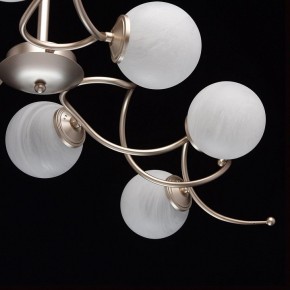 Люстра на штанге MW-Light Оливия 5 306012709 в Нижнем Тагиле - nizhniy-tagil.mebel24.online | фото 10