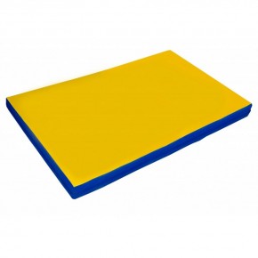 Мат гимнастический 2х1х0,05м цв. синий-желтый в Нижнем Тагиле - nizhniy-tagil.mebel24.online | фото 1