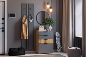 МЕБЕЛЬСОН К21 Прихожая  (графит) в Нижнем Тагиле - nizhniy-tagil.mebel24.online | фото