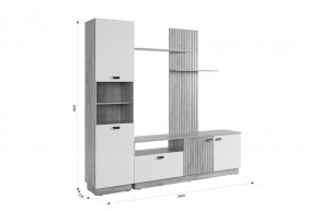 МОДИ Гостиная (модульная) белое дерево в Нижнем Тагиле - nizhniy-tagil.mebel24.online | фото 2