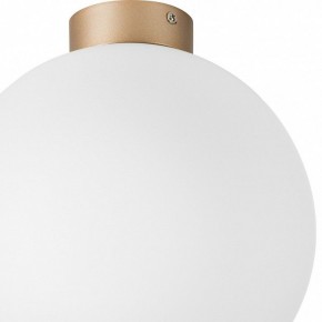 Накладной светильник Lightstar Globo 812033 в Нижнем Тагиле - nizhniy-tagil.mebel24.online | фото 2