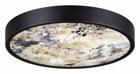 Накладной светильник Odeon Light Bergi 5064/30L в Нижнем Тагиле - nizhniy-tagil.mebel24.online | фото 4