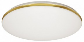 Накладной светильник Sonex Lassa 3043/DL в Нижнем Тагиле - nizhniy-tagil.mebel24.online | фото 5