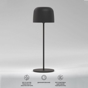 Настольная лампа декоративная Elektrostandard Bitty a069002 в Нижнем Тагиле - nizhniy-tagil.mebel24.online | фото 2