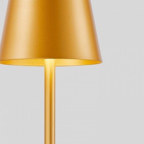 Настольная лампа декоративная F-promo Pyari 4616-1T в Нижнем Тагиле - nizhniy-tagil.mebel24.online | фото 5
