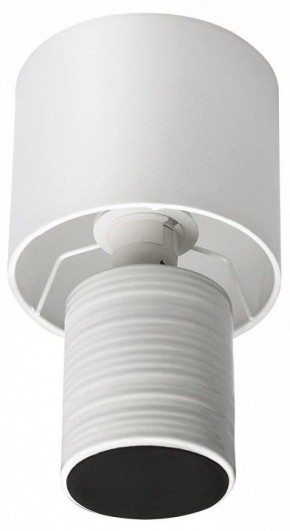 Настольная лампа декоративная Lumion Tuala 8144/1Т в Нижнем Тагиле - nizhniy-tagil.mebel24.online | фото 3
