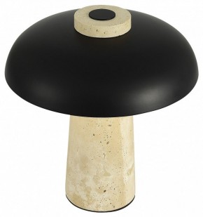 Настольная лампа декоративная ST-Luce Earthy SL1194.424.01 в Нижнем Тагиле - nizhniy-tagil.mebel24.online | фото 5