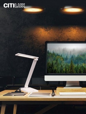 Настольная лампа офисная Citilux Ньютон CL803080 в Нижнем Тагиле - nizhniy-tagil.mebel24.online | фото 10