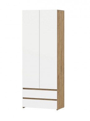 НЕКСТ 1 Шкаф двухстворчатый с ящиками в Нижнем Тагиле - nizhniy-tagil.mebel24.online | фото