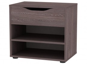 Обувница W119 (ЯАТ) в Нижнем Тагиле - nizhniy-tagil.mebel24.online | фото