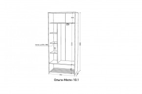 ОЛЬГА-МИЛК 10.1 Шкаф-купе без зеркала в Нижнем Тагиле - nizhniy-tagil.mebel24.online | фото 2