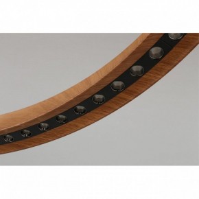 Подвесная люстра Aployt Justyna APL.787.03.75 в Нижнем Тагиле - nizhniy-tagil.mebel24.online | фото 10
