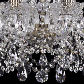 Подвесная люстра Bohemia Ivele Crystal 1411 1411/10/195/Pa в Нижнем Тагиле - nizhniy-tagil.mebel24.online | фото 3