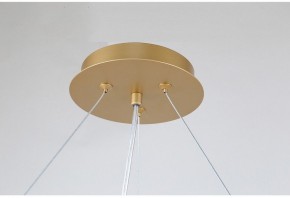 Подвесная люстра Favourite Ginkoa 4080-10P в Нижнем Тагиле - nizhniy-tagil.mebel24.online | фото 9