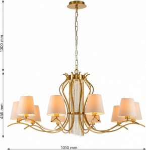 Подвесная люстра Favourite Ketten 2867-10P в Нижнем Тагиле - nizhniy-tagil.mebel24.online | фото 4