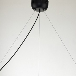 Подвесная люстра Favourite Light point 2997-9P в Нижнем Тагиле - nizhniy-tagil.mebel24.online | фото 11