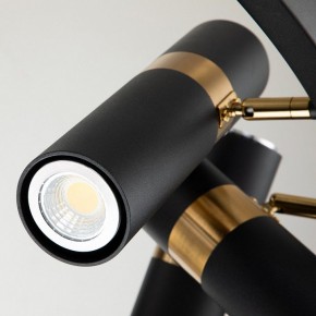 Подвесная люстра Favourite Light point 2997-9P в Нижнем Тагиле - nizhniy-tagil.mebel24.online | фото 5