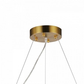 Подвесная люстра Favourite Magnitudo 2206-12P в Нижнем Тагиле - nizhniy-tagil.mebel24.online | фото 7