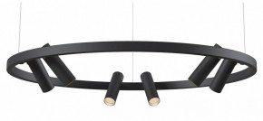 Подвесная люстра Maytoni Halo MOD102PL-L42BK в Нижнем Тагиле - nizhniy-tagil.mebel24.online | фото