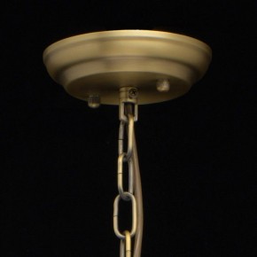 Подвесная люстра MW-Light Альгеро 3 285010703 в Нижнем Тагиле - nizhniy-tagil.mebel24.online | фото 14