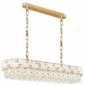 Подвесная люстра Odeon Light Chessi 5076/10 в Нижнем Тагиле - nizhniy-tagil.mebel24.online | фото 2